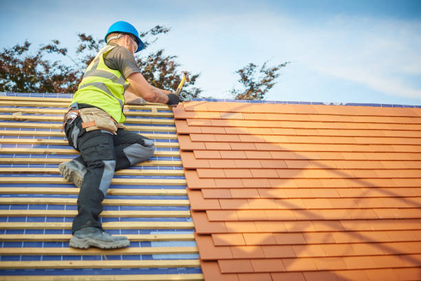 Best Asphalt Shingle Roofing  in Elizabethville, PA
